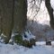 Sheltered