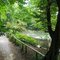 Pasing, See im Stadtpark