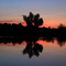 Böhmer Weiher, Puchheim Bahnhof - Baum am See, Sonnenuntergang, 04/2009, (MT)