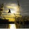 Silbersee
