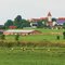 Störche an der Altmühl