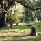 Alva Cemetery