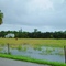 1878 English homestead, oldest house in Lee county, Alva Fla (8-2008)
