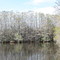 Babcock Wilderness