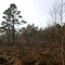 Haspelmoor