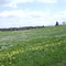 Oberhof bei Durach im Frühling