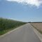 Straße Richtung Thenner See