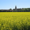 Lohhof bei Mindelheim