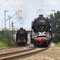 (1) Dampflokomotive 01118 überholt Damflok 011066 (Parallelfahrt) bei Mertingen, DON / Steamtrain No. 01118 is overtaking Steamtrain No. 011066  (MT)
