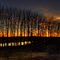 Sonnenuntergang an der Wörnitz II / sunset near to the woernitz