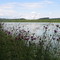 Illerradweg-Illerstausee bei Dettingen