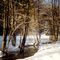 Winter im Bayrischen Wald