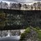 Der Taferlsee an der Vils (13.11.09)