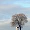 Feldkapelle bei Oberbergkirchen