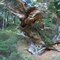 Waldgeist
