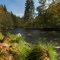 Wandern an der Ilz