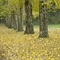 Herbstlaub