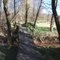 Steg am Biberweg