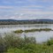 Innstausee Ranshofen - nach dem Regen