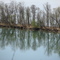 Salzach-Innsight