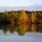 Herbstfarben  September Abendlicht