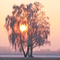 Colours of cold winter morning