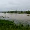 Hochwasser an der Rott / Rottauensee / Postmünster (02.06.2013, Sonntag)