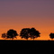 first morning glow at Elchingen