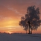 the beauty of winter morning