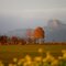 morning near Lauchheim, wiew towards Kapfenburg