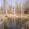 beaver lake