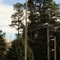 Tornado Warning Siren