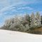 Winterlandschaft
