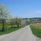 Auf der Höhe bei Edelstetten
