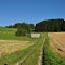 Feldweg bei Memmenhausen