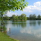 Erlensee