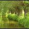 An der Ilm