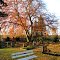 Ein ruhiges Plätzchen auf dem Friedhof in Blankenhain - ** A quiet place in the cemetery in Blankenhain