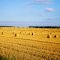 Erntezeit - **  harvest season