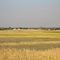 Blick auf Gardelegen