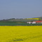 Medows near Nordhausen