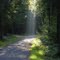 Montags im Mischwald