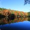 Herbststimmung am Zechenteich / Großschirma