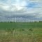 Windpark im Havelland