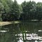 Rothebacher Teich 2