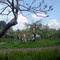 ZEGG (Garten) 2008