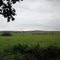 Blick von Krottorf nach Schwanebeck