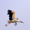 Abflug - Takeoff