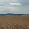 Collmberg