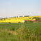 Sassonia - campagna
